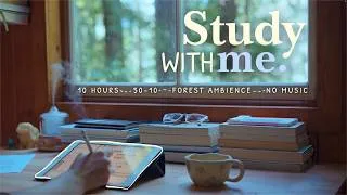 Thumbnail: ✨🌿 10 HOUR STUDY WITH ME / 🦋 Nature Ambience In A Forest Treehouse / No Music / Pomodoro 50-10