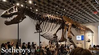 Thumbnail: Gus the T. Rex Crushes World Record for Dinosaur at Auction Hitting | Sotheby's
