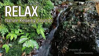 Thumbnail: It's Okay to Be Tired... Calm Your Mind with Natural Water Sounds