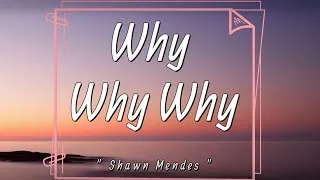 Thumbnail: Shawn Mendes - Why Why Why (Lyrics) | I don’t know why why |