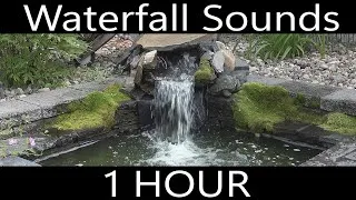 Thumbnail: Garden Pond Ambience, Waterfall Sound Effect 1 HOUR