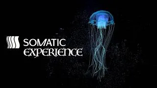 Thumbnail: Fascial Sound Bath: Dissolve Somatic Memory Using Low Frequency Resonant Drone Tones