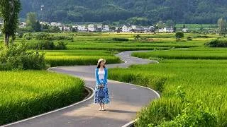 Thumbnail: Healing Ambient Music for Stress Relief - Soft Melodies to Relax the Heart and Mind | Sounder Life