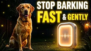 Thumbnail: Stop Dog Barking Fast & Gently | Bark Interrupt Frequency for Dogs (10 Minutes)