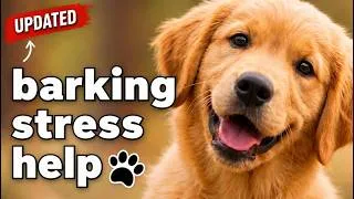 Thumbnail: Puppy Scared of Barking Dogs? Periodic Barking Training Sounds | Calm Ambience