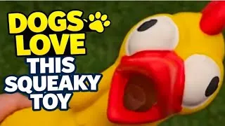 Thumbnail: This Squeaky Chicken Dog Toy Drives Dogs CRAZY | Now Discontinued