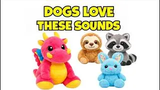 Thumbnail: Will Your Dog React to These Squeaky Toy Sounds? | Which One Gets Their Attention?