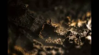 Thumbnail: Approaching The Void  | An Immersive Ambient Soundscape Through The Alluring Spaces for Stillness