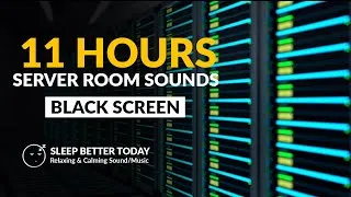 Thumbnail: SERVER ROOM Sounds - White Noise Black Screen