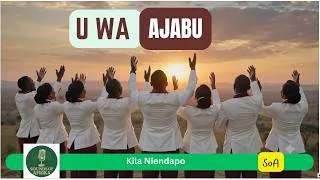 Thumbnail: U wa Ajabu | Kila Niendapo | Sounds of Afrika