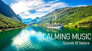 Thumbnail: Relaxing Music For Nerves 🌿 Calming Music, Healing Music For The Heart, And Blood Vessels