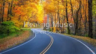 Thumbnail: Healing Music With Sound in Forest | Stop Anxiety, Deep Sleep, Peaceful Soothing Instrumental Music