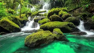 Thumbnail: 3 hours of healing music to clear your head 🎵 Healing music, music to clear your head, deep sleep
