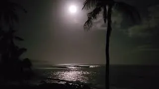 Thumbnail: Moonlit Ocean Waves – Relaxing Sleep Sounds & Soothing Night Ambience