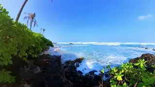 Thumbnail: Chill Ocean Sounds and Ethereal Music for Anxiety Release