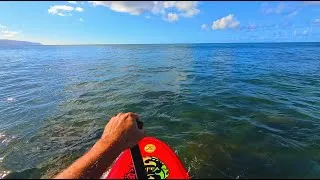 Thumbnail: LoFi Stand Up Paddle Mid Afternoon Session - Super Chill Ocean Vibes