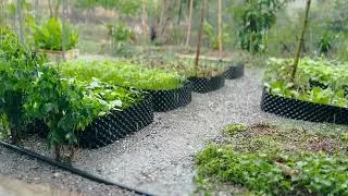 Thumbnail: Rain In The Garden