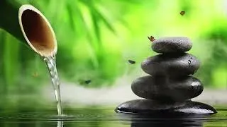 Thumbnail: No Ads Relaxing Piano Healing & Bamboo Water Fountain 24/7 自然の音とともに音楽をリラックス バンブーウォーターファウンテン【癒し音楽BGM】