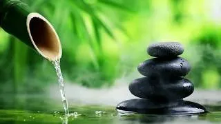 Thumbnail: No Ads Relaxing Music🌿 Healing Piano + Water Sounds, Calm 自然の音とともに音楽をリラックス バンブーウォーターファウンテン 【癒し音楽BGM