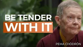 Thumbnail: Why Avoiding the Feeling Shrinks Your Capacity to Hold It | Pema Chödrön
