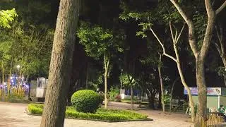 Thumbnail: Peaceful Night in the Park 🌙 | Cinematic Nature Evening #night #chill