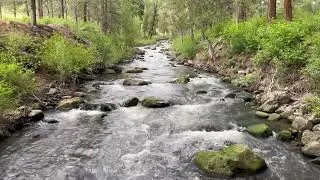 Thumbnail: Nature Sounds - Running water in a stream