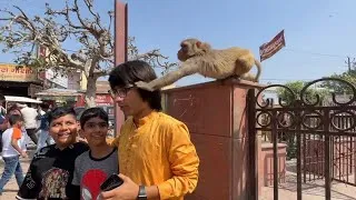 Thumbnail: Vrindavan vlog | Souravjoshivlogs || #souravjoshivlogs #vrindavan #money #shortsfeed #viral #ytviral