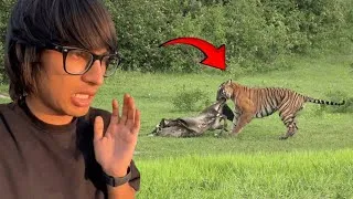 Thumbnail: Aaj toh Baal Baal bache 😱  || Souravjoshivlogs Jungle sufari #souravjoshivlogs 