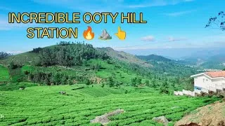 Thumbnail: 🔥😦☕"This Ooty Tea Garden Changed My Life Forever"#travel#ooty#tea garden#vlogs