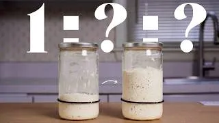 Thumbnail: Sourdough Starter made EASY | feeding ratios explained