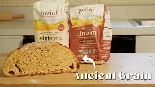 Thumbnail: Mastering Einkorn Sourdough Bread [not as hard as you think]