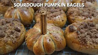 Thumbnail: Sourdough Pumpkin Bagels Recipe 🍁🍂