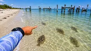 Thumbnail: The Rarest Fishing Event in America Happened Today! The Beach was Covered in FLOUNDER!!