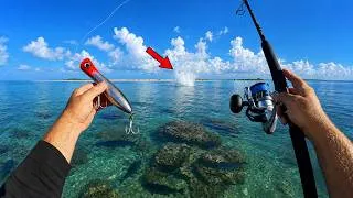 Thumbnail: I Tossed This GIANT Popper over a Shallow Reef and it INSTANTLY Hooked a MASSIVE Fish!!