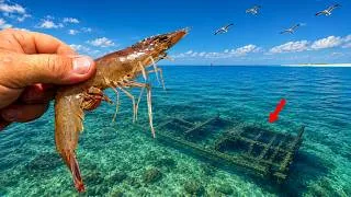 Thumbnail: I Tossed a LIVE SHRIMP at this Underwater SHIP WRECK and Instantly Hooked a GIANT FISH!!
