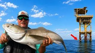Thumbnail: 15 Miles Offshore on My SEA-DOO... I've Never Seen So Many GIANT Fish!!