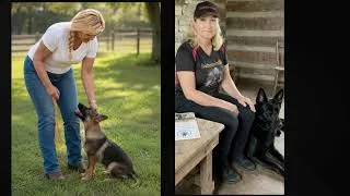 Thumbnail: Before Buying a German Shepherd Puppy: What You Must Understand First