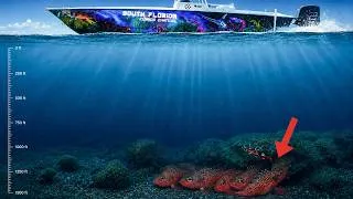 Thumbnail: Is this fish worth the fuel to get to them? {Catch Clean Cook}