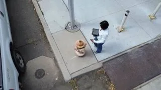 Thumbnail: How to Use a Bad Elf GNSS Receiver: An In Depth Introduction