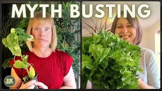Thumbnail: S2:E14 - Clare Drops the Ball & Kerry Gets Creative + Your Garden Myths