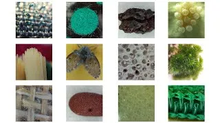 Thumbnail: #Shorts Things under 15x OPPO mobile microscopic camera Part 2