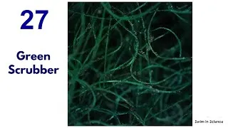 Thumbnail: Things under 15x OPPO mobile microscopic camera/See Macroscopic features under microscopic camera