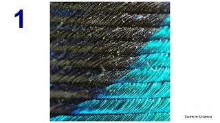 Thumbnail: #shorts Things under 15x mobile Microscopic camera/Can you guess these things