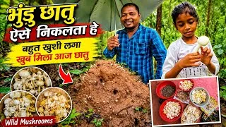 Thumbnail: सची कह्ते हैं मेहनत का फल जरूर मिलती हे//Wild Mushrooms//Hatioda near Rourkela #soyvlogs