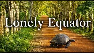 Thumbnail: The Last Tortoise and the Fight to Survive | Equator 4K