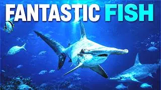 Thumbnail: The Ocean's Most Unique Creatures | 4K Documentary