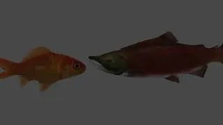 Thumbnail: FISH 3-
