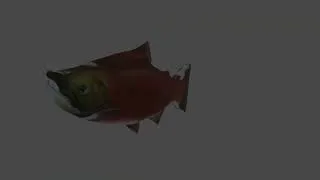 Thumbnail: FISH (turn on subtitles)