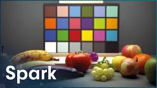 Thumbnail: Neuroscience Proves We Don’t See The Same Colors | Horizon