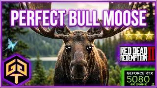 Thumbnail: RDR2 Hunting Bull Moose Best Spawn Location Perfect 3 Star Pelt Buy All Trapper Garment Set Outfits